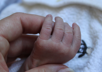 Fetal and Infant Mortality Review (FIMR)