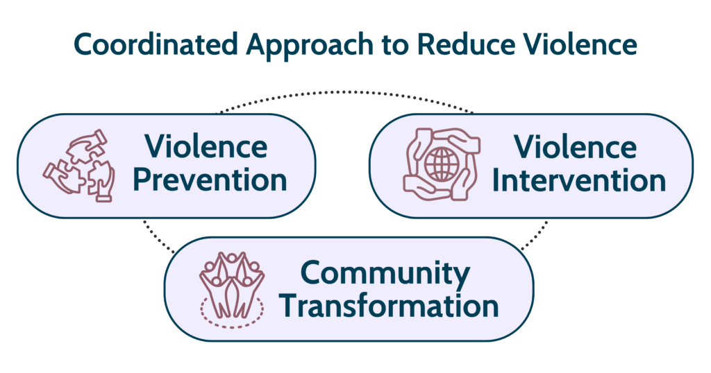 This is an image of a diagram with three boxes around a circle. One box is labeled Violence Prevention, another Violence Intervention, and the final one is Community Transformation.