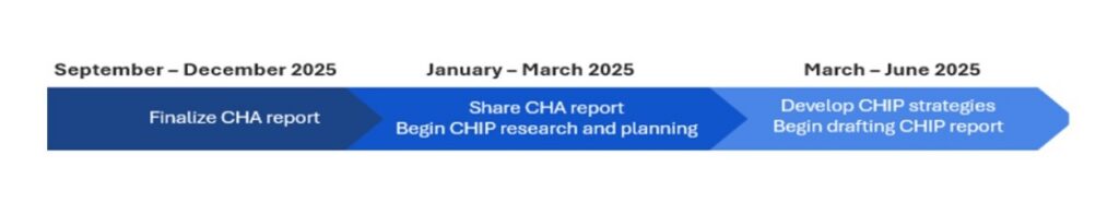 Community Health Improvement Plan project timeline.