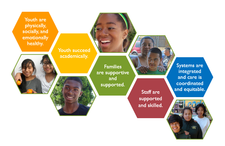 Healthy School Results collage