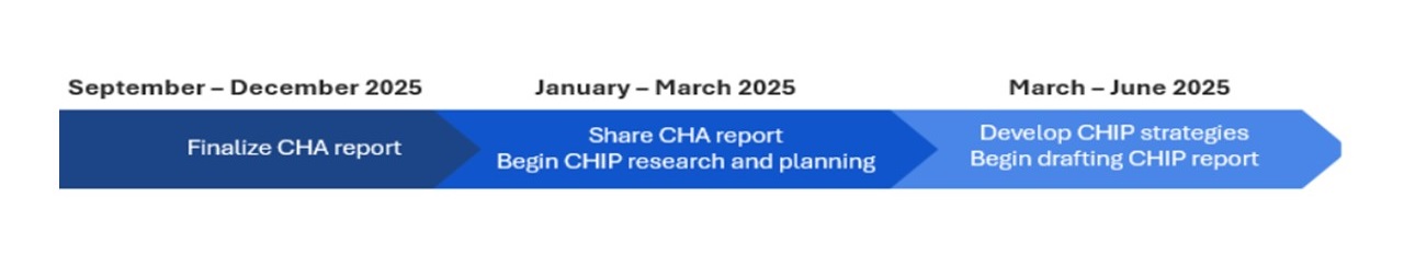 Community Health Improvement Plan project timeline.