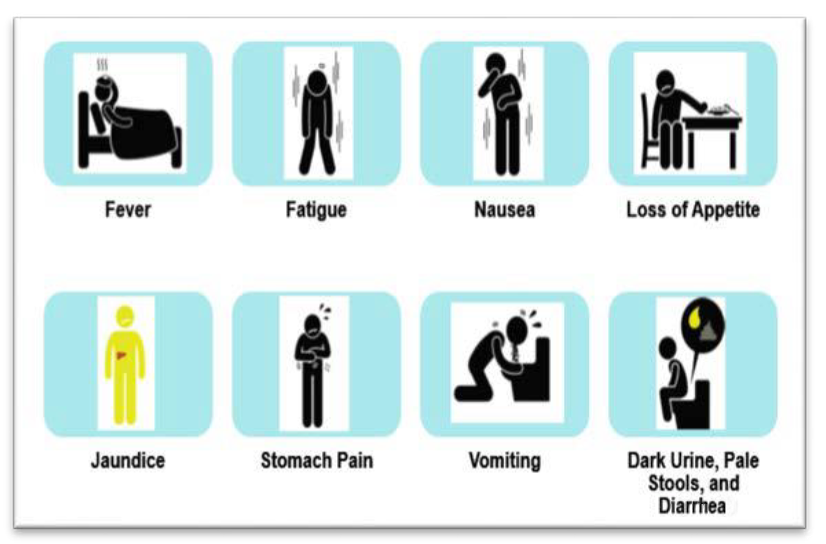 Icons illustrating common Hepatitis A symptoms: fever, fatigue, nausea, loss of appetite, jaundice (yellowing of skin), stomach pain, vomiting, and dark urine with pale stools and diarrhea.