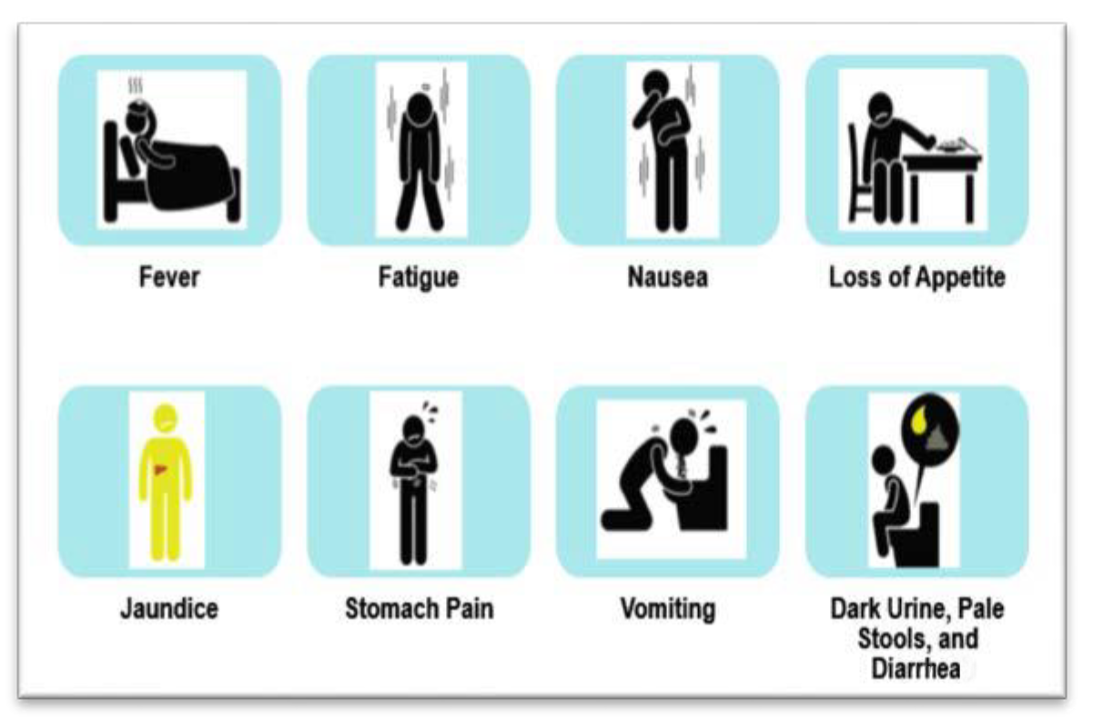 Icons illustrating common Hepatitis A symptoms: fever, fatigue, nausea, loss of appetite, jaundice (yellowing of skin), stomach pain, vomiting, and dark urine with pale stools and diarrhea.